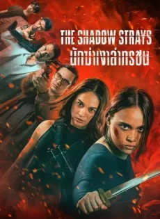 ดูหนังออนไลน์ นักฆ่าเงาล่าทรชน The Shadow Strays (2024)