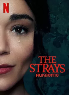 ดูหนังออนไลน์ คนหลงทาง The Strays (2023)