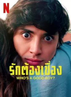 ดูหนังออนไลน์ รักต้องเชื่อง? (2022) Who’s a Good Boy?